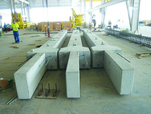 Cost and Labor Efficiency